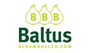 Baltus Bloembollen